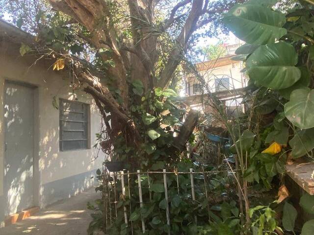 Terreno para Venda em São Paulo - 5