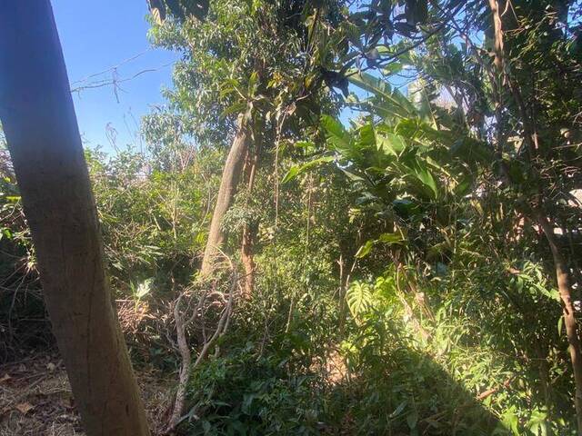 Terreno para Venda em São Paulo - 5