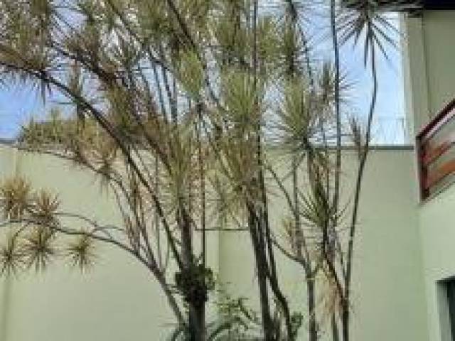 Casa para Venda em São Paulo - 4