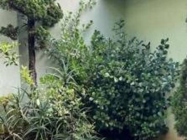 Casa para Venda em São Paulo - 5